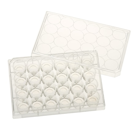 Celltreat Glass Bottom Tissue Culture Plate, 10mm Glass, Sterile, 24-Well, PK5 229125